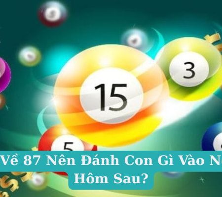 Đề Về 87 Nên Đánh Con Gì Vào Ngày Hôm Sau?